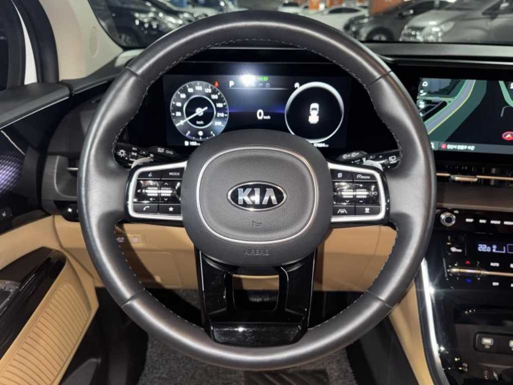 KIA Carnival - Vista 10