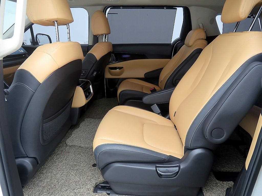 KIA Carnival - Vista 8