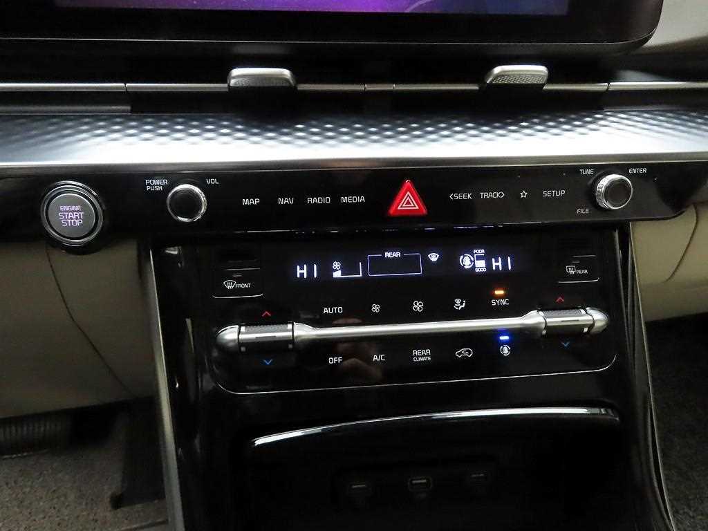 KIA Carnival - Vista 9