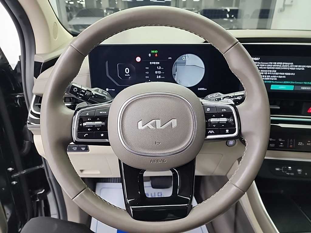 KIA Carnival - Vista 9