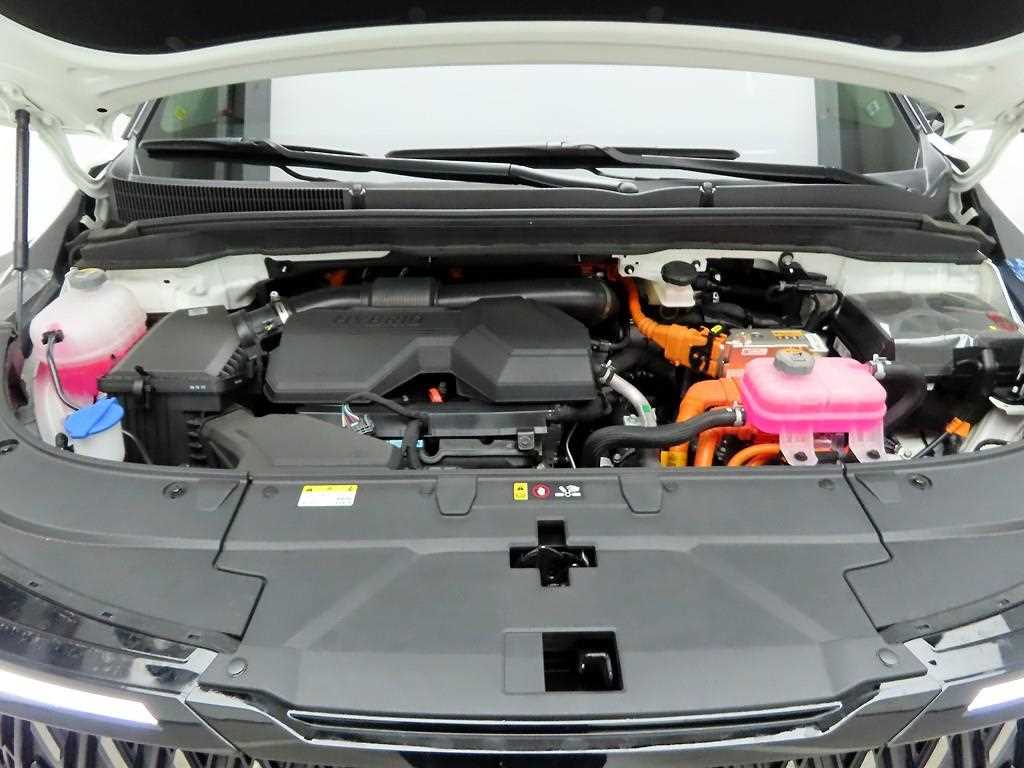 KIA Carnival 2025 Blanco - Importación desde Corea - HF Imports Iquique - Foto 20