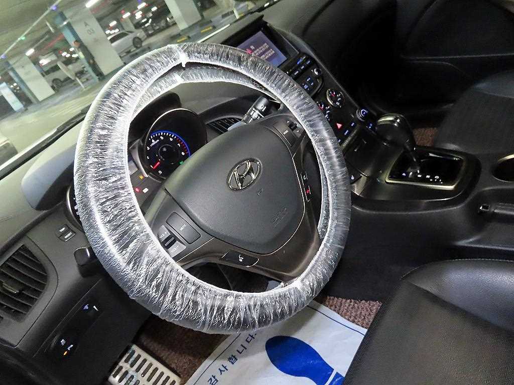 HYUNDAI Genesis - Vista 8