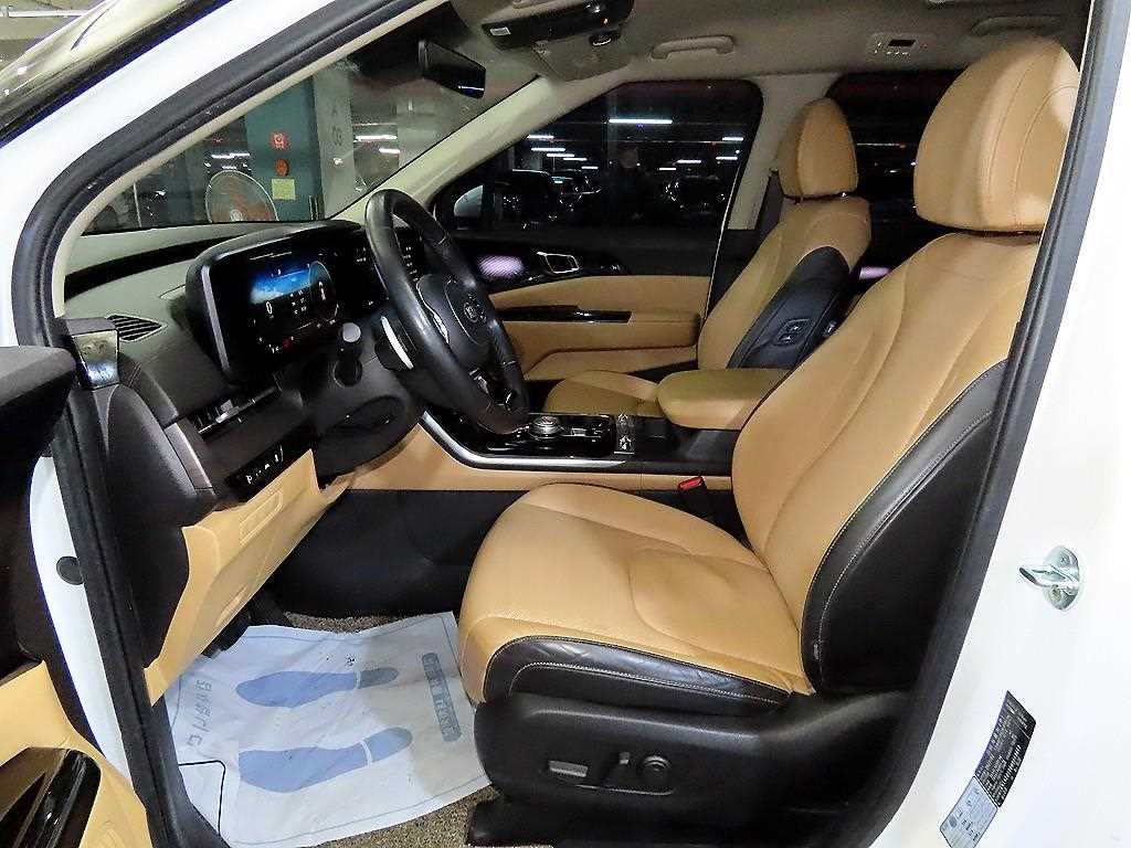 KIA Carnival - Vista 6