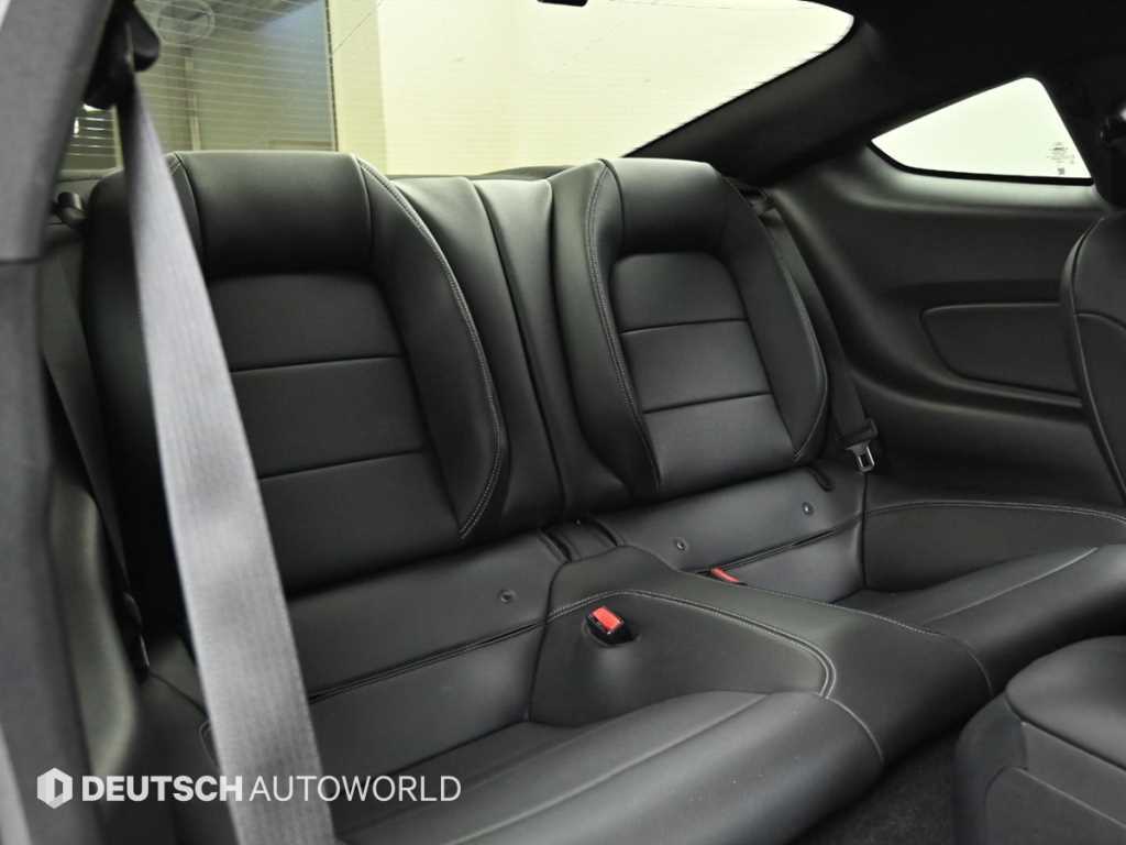 Ford Mustang - Vista 12