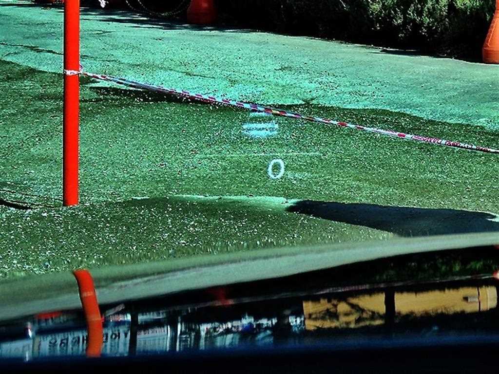 Genesis G80 - Vista 10