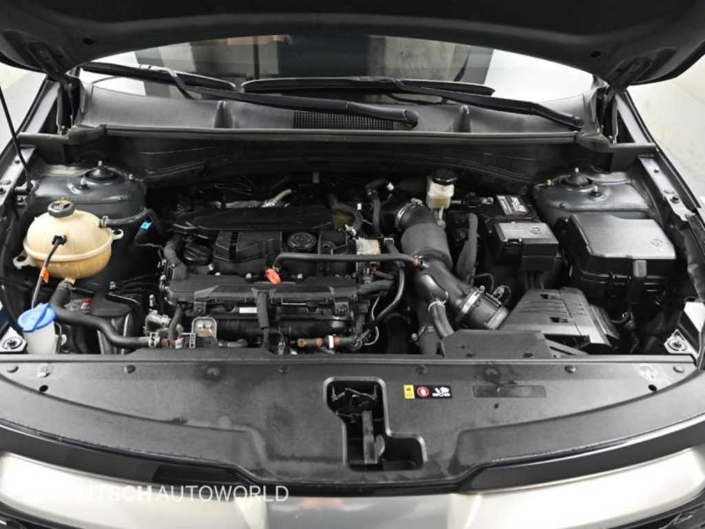 KIA Sportage - Vista 6