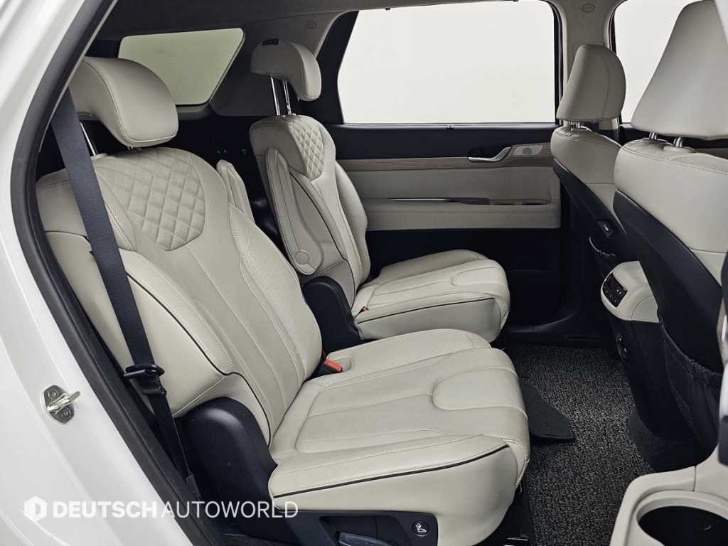 HYUNDAI Palisade - Vista 12