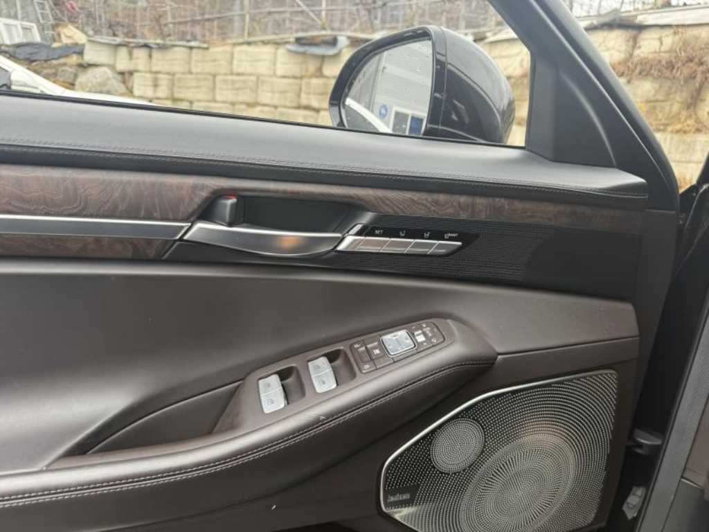 Genesis G90 - Vista 10