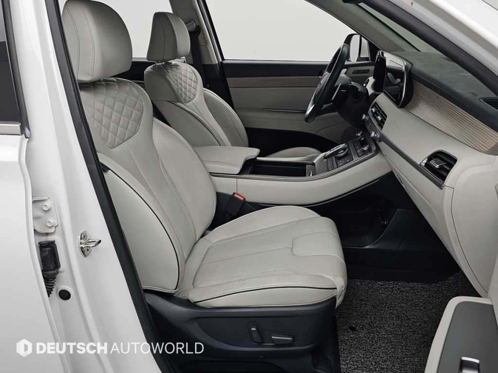 HYUNDAI Palisade - Vista 10