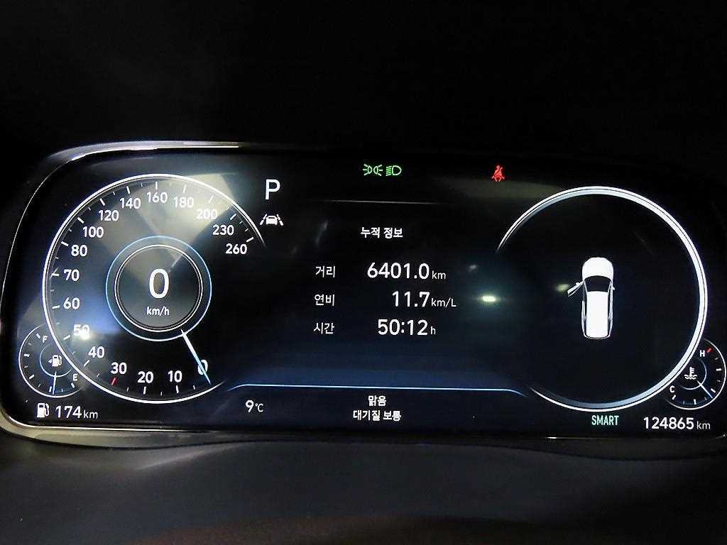 HYUNDAI Palisade - Vista 9