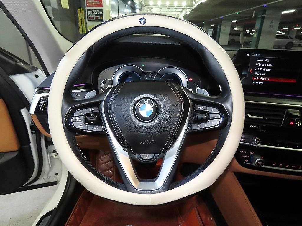 BMW 5 Series - Vista 8