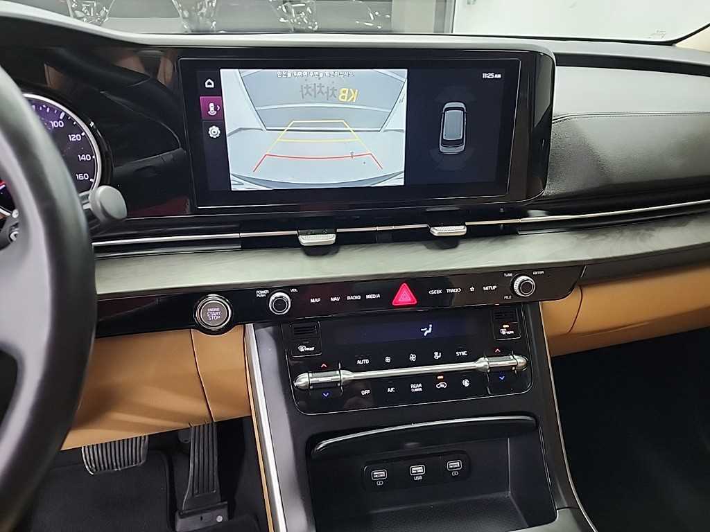 KIA Carnival - Vista 10