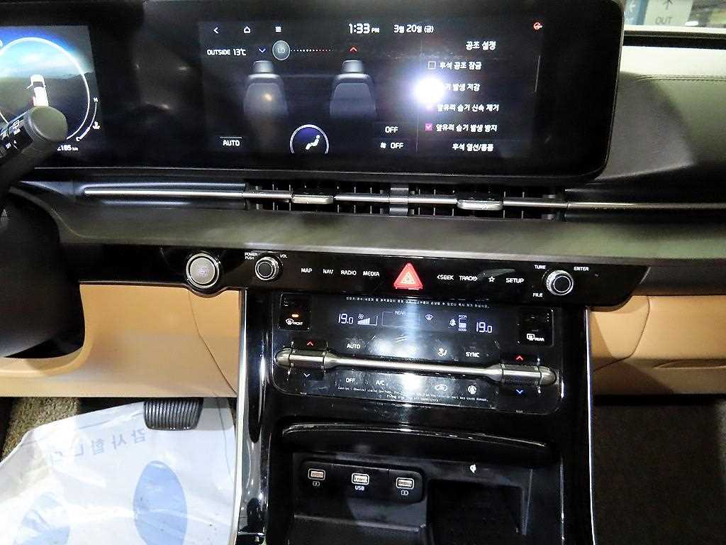 KIA Carnival - Vista 11