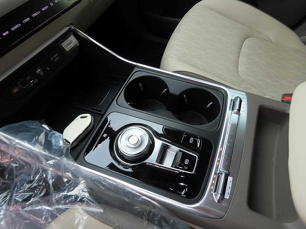 KIA Carnival - Vista 9