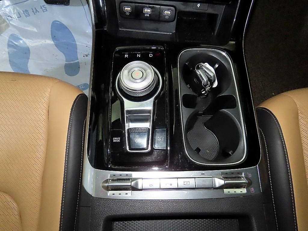 KIA Carnival - Vista 12