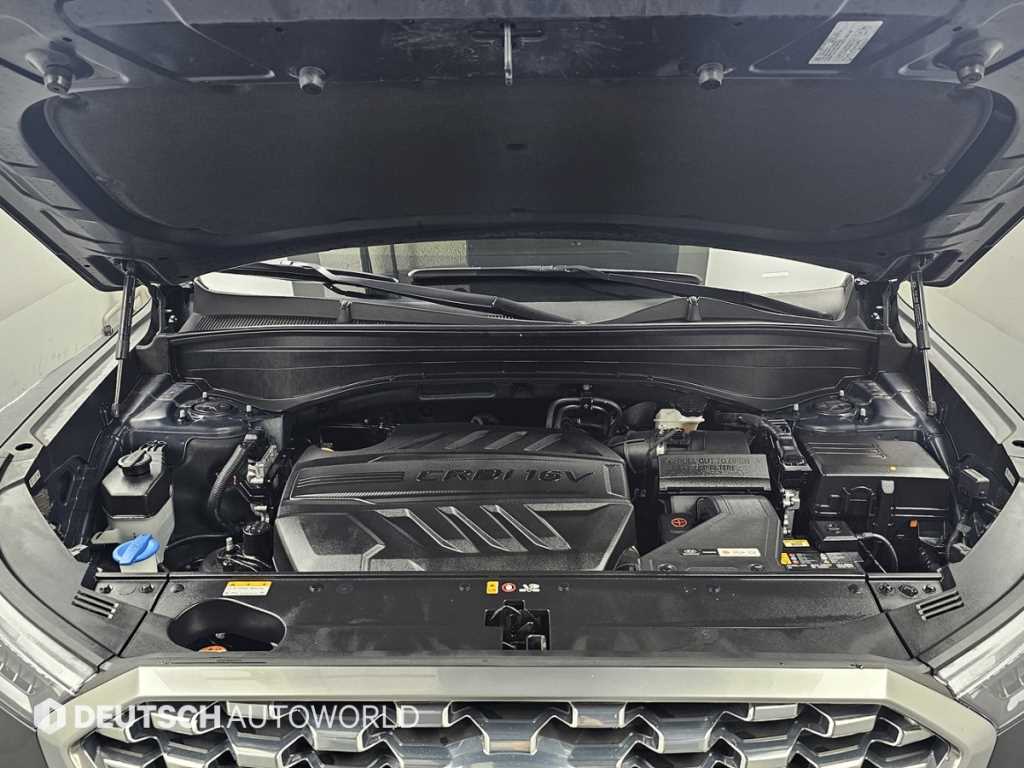 HYUNDAI Palisade - Vista 6