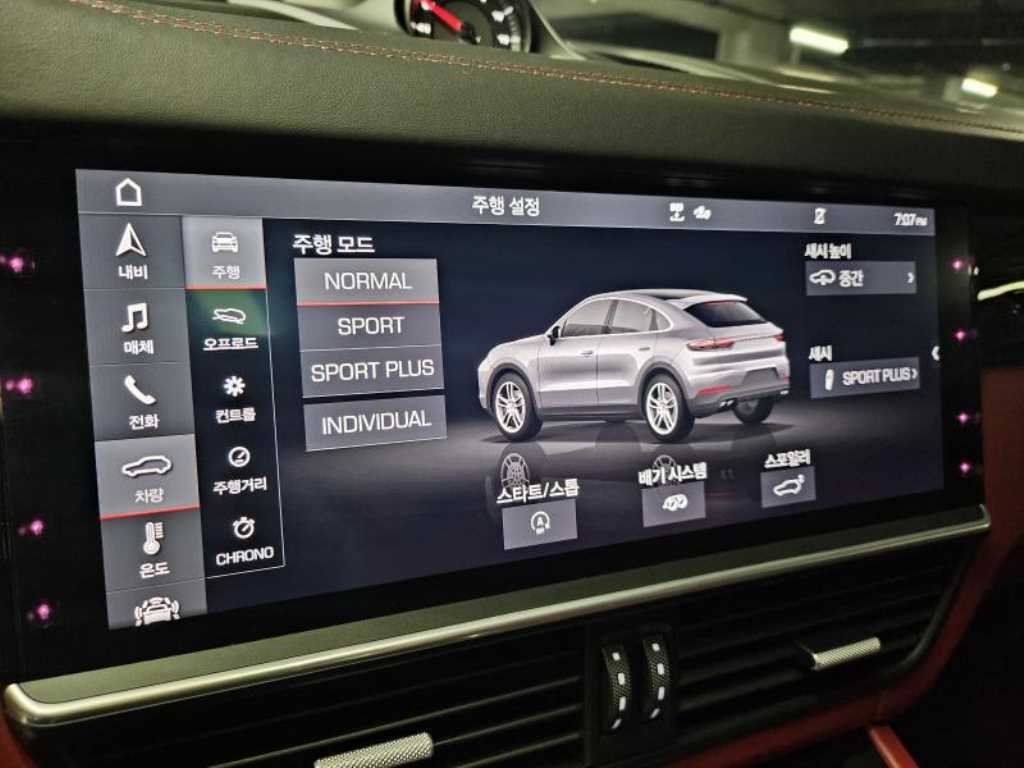 Porsche Cayenne - Vista 10