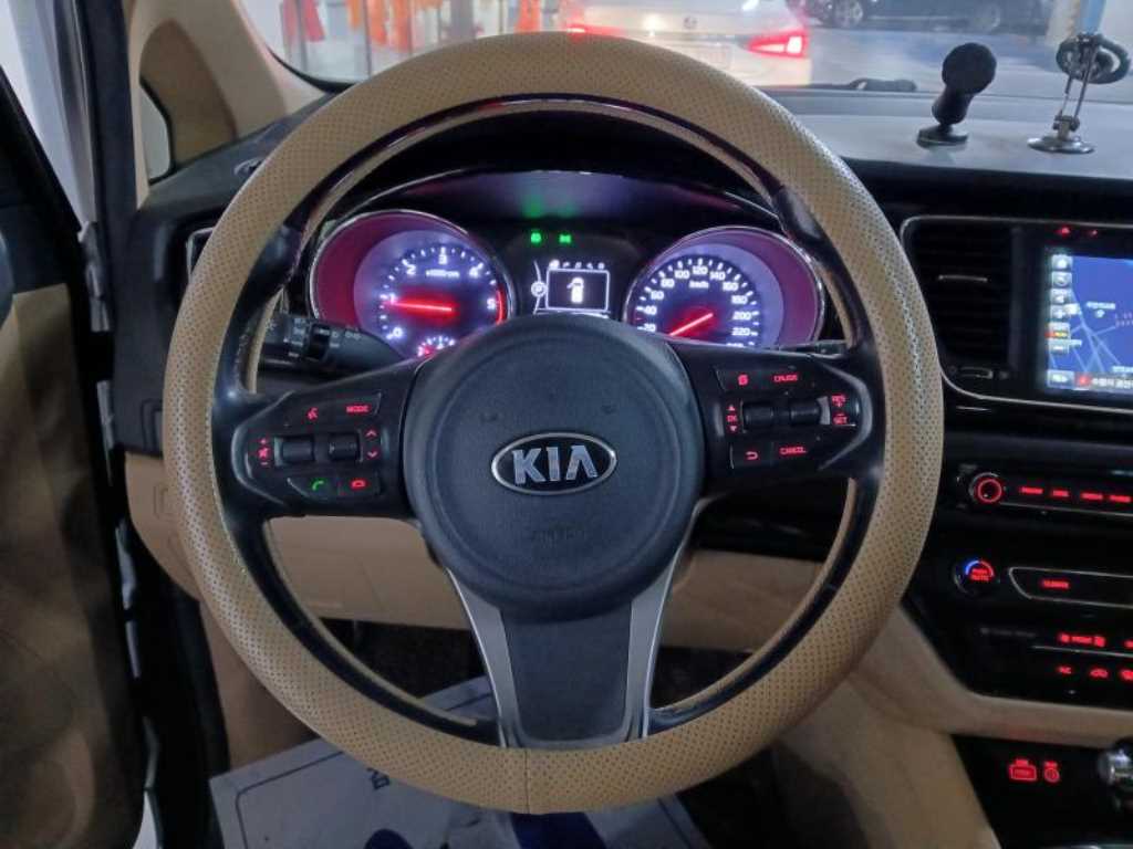 KIA Carnival - Vista 8