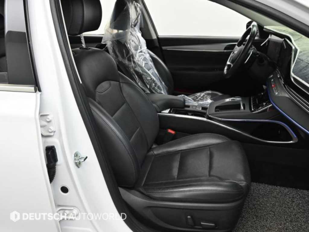 HYUNDAI Grandeur - Vista 10