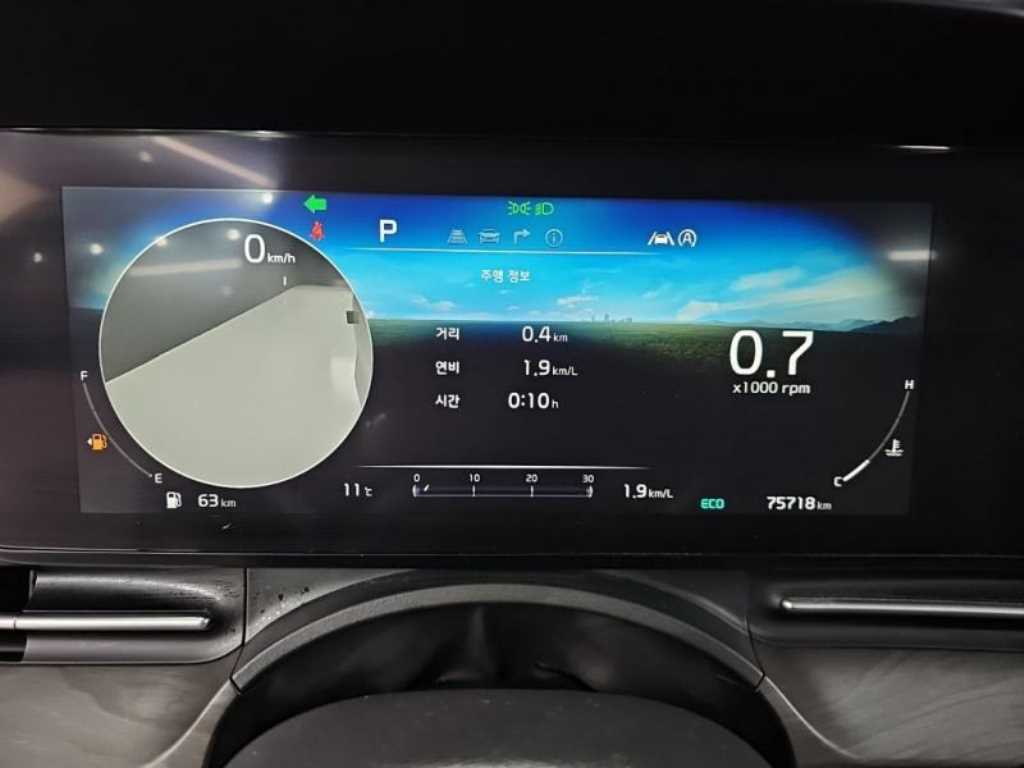 KIA Carnival - Vista 7