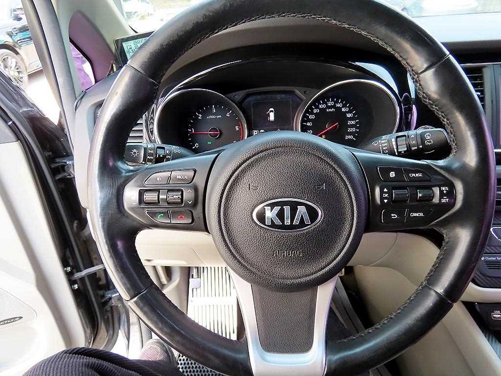 KIA Carnival - Vista 9