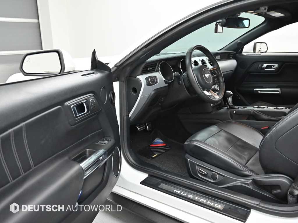 Ford Mustang - Vista 11