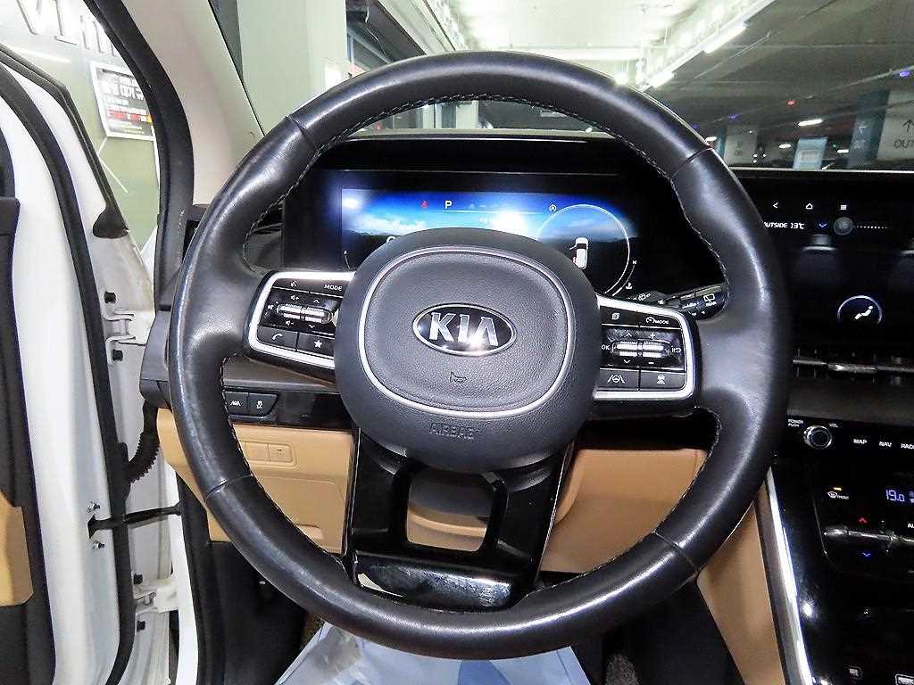 KIA Carnival - Vista 8