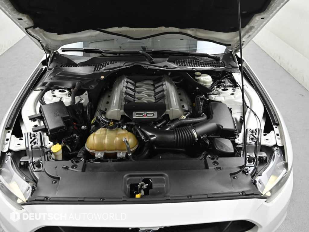 Ford Mustang - Vista 6