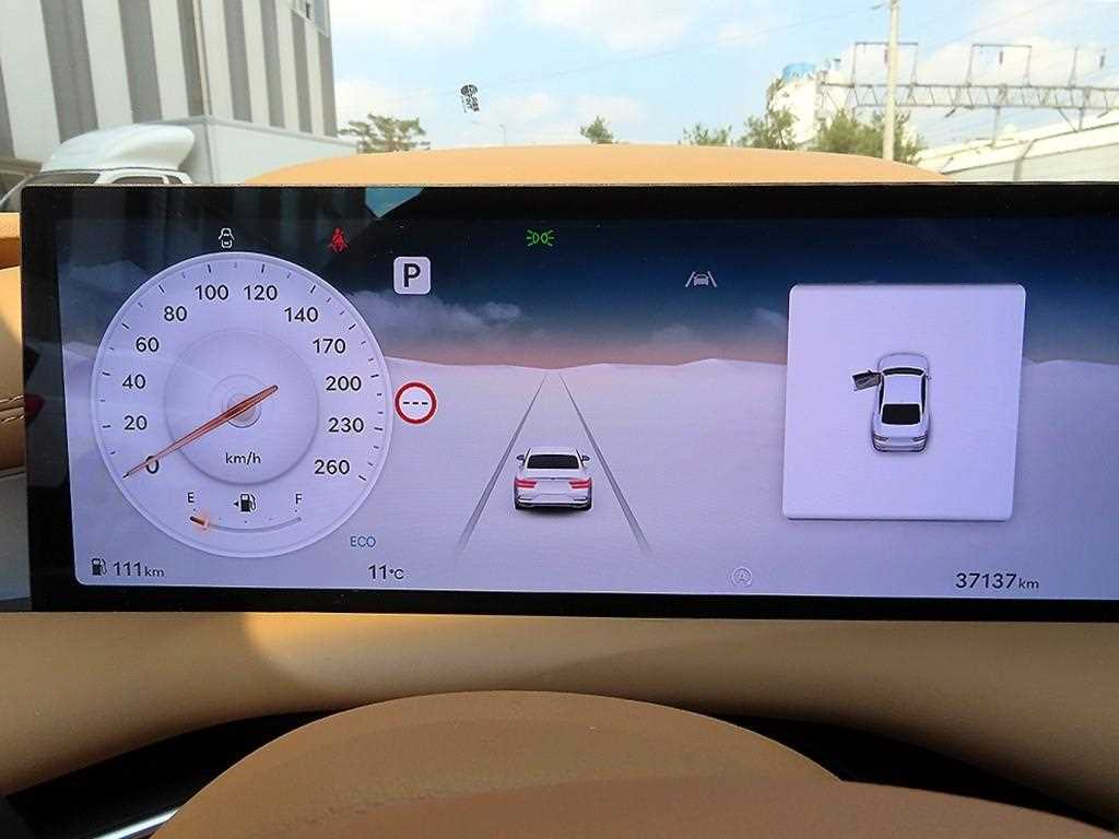 Genesis G80 - Vista 9