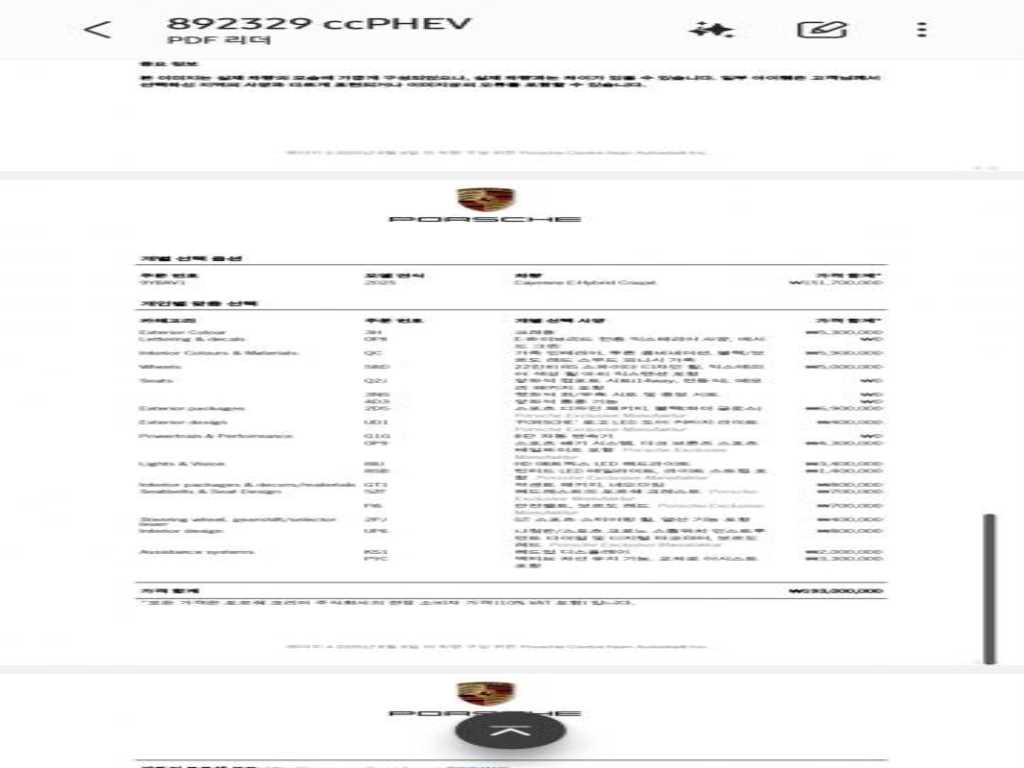 Porsche Cayenne - Vista 10