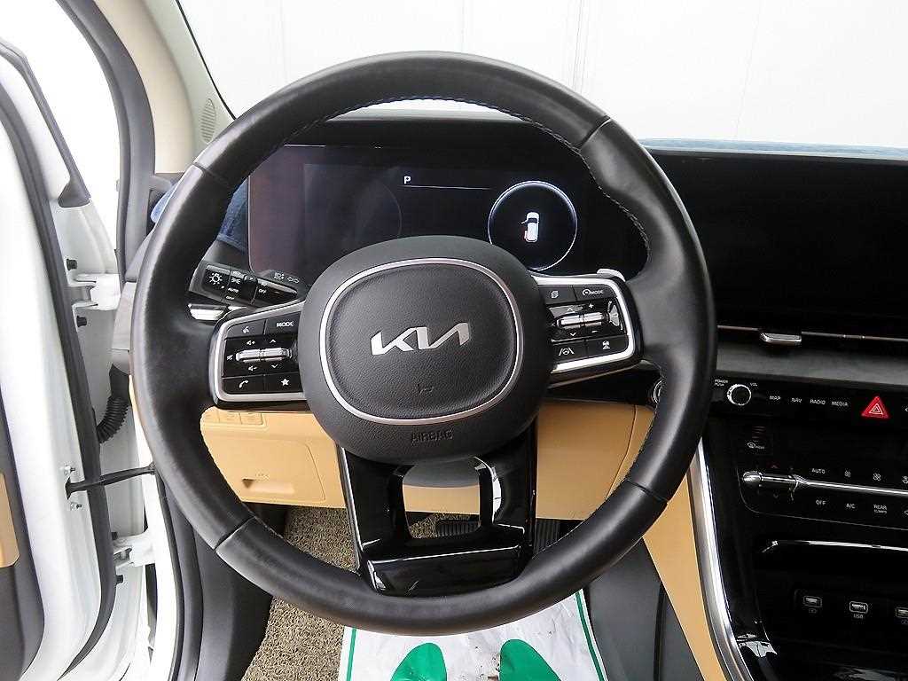 KIA Carnival - Vista 10