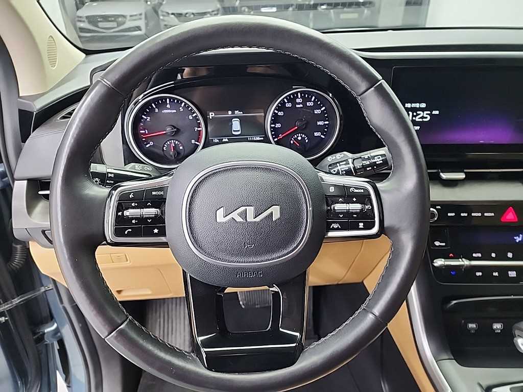 KIA Carnival - Vista 9