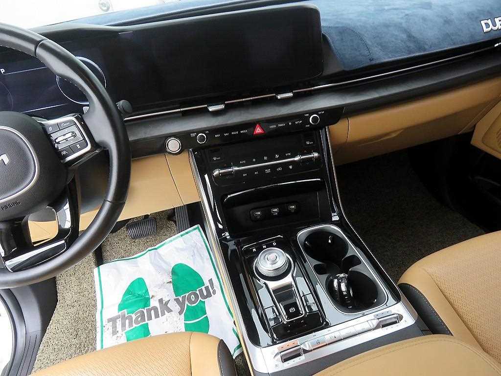 KIA Carnival - Vista 11