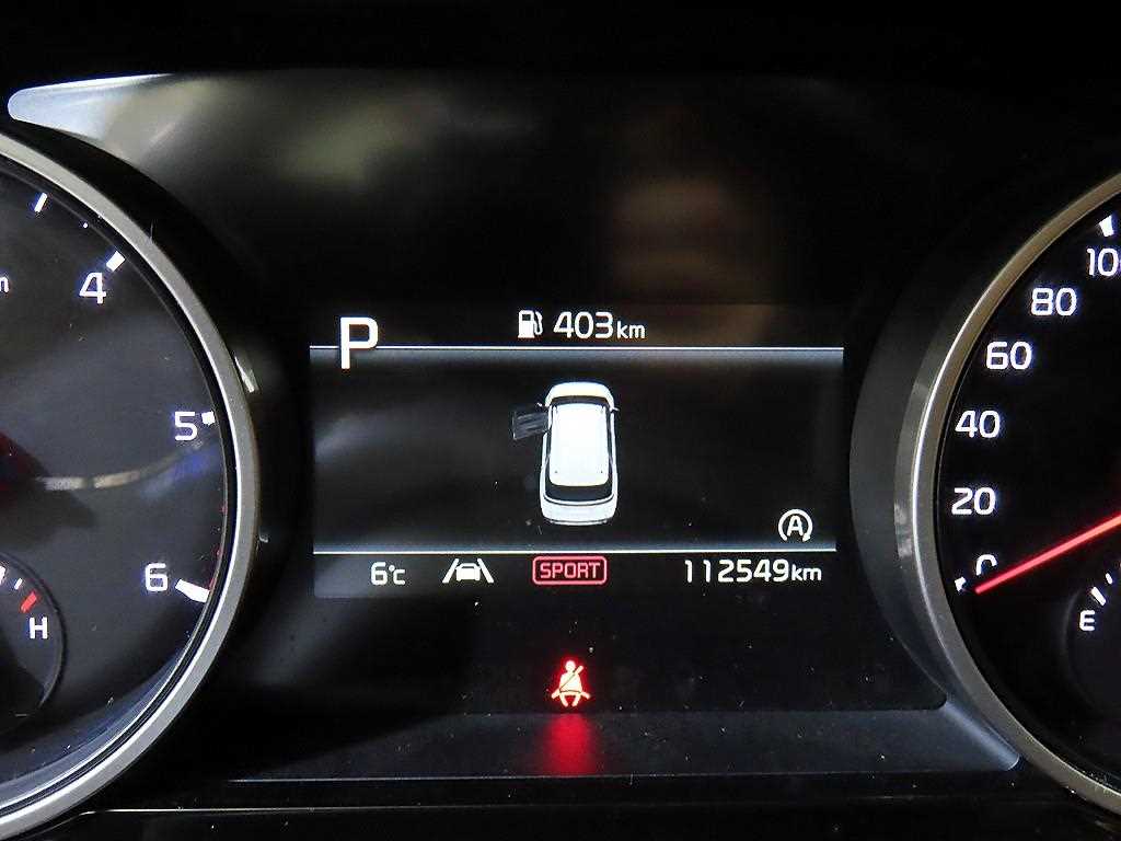 KIA Carnival - Vista 10