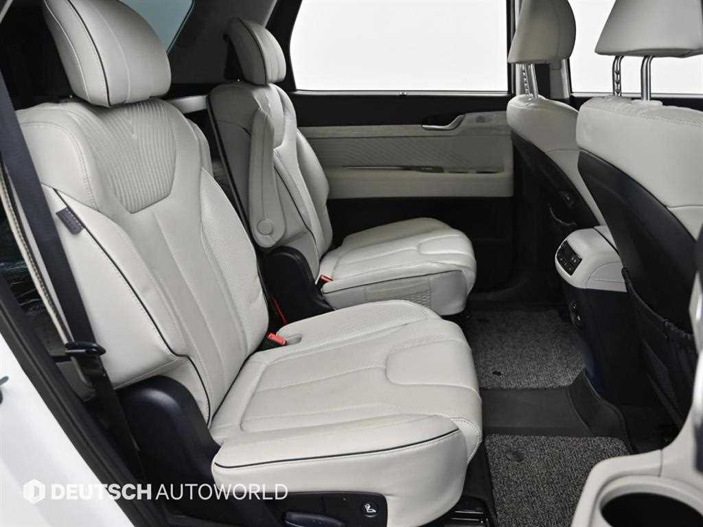 HYUNDAI Palisade - Vista 12