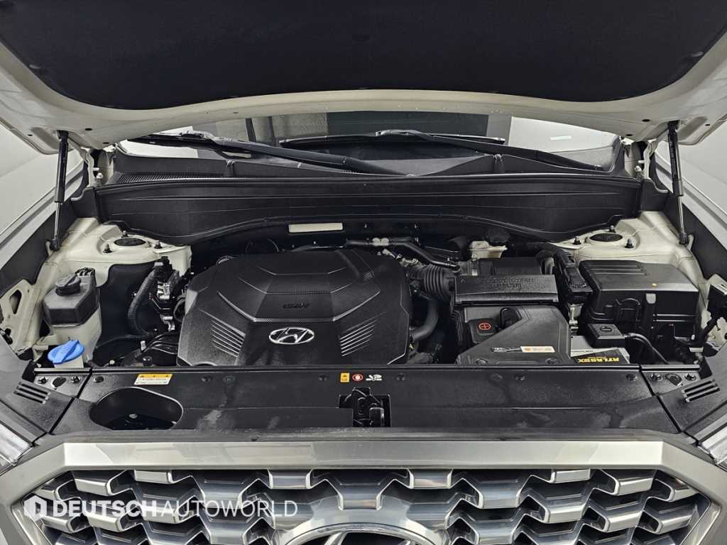HYUNDAI Palisade - Vista 6