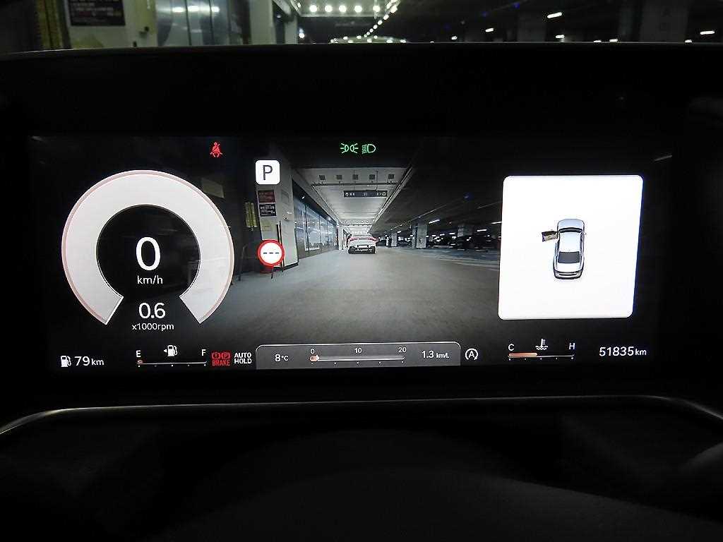 Genesis G90 - Vista 9