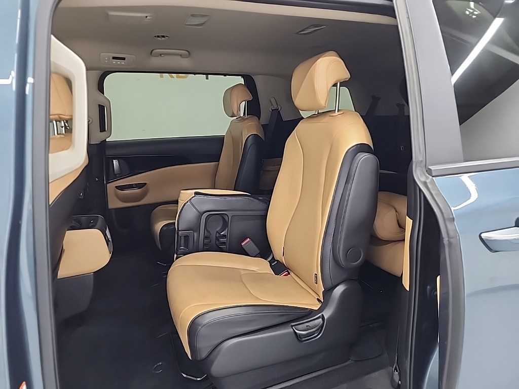 KIA Carnival - Vista 12