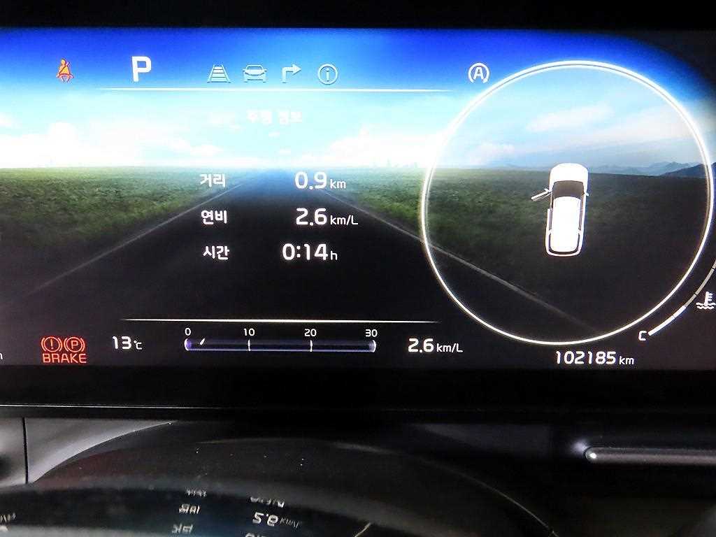 KIA Carnival - Vista 9