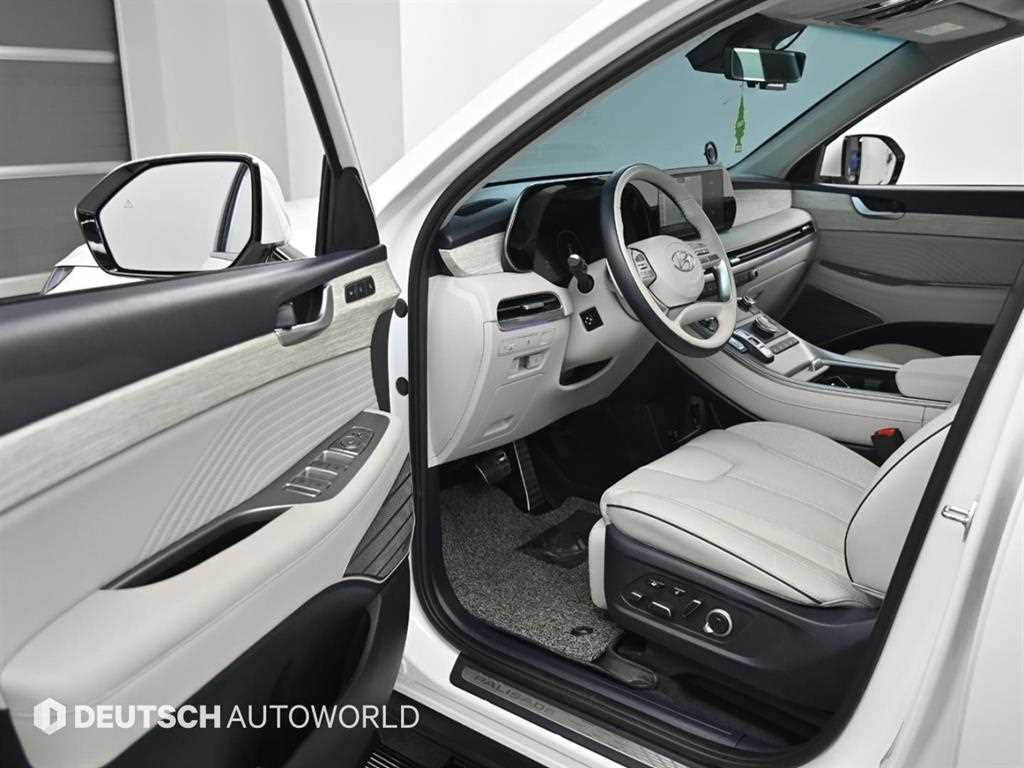 HYUNDAI Palisade - Vista 11