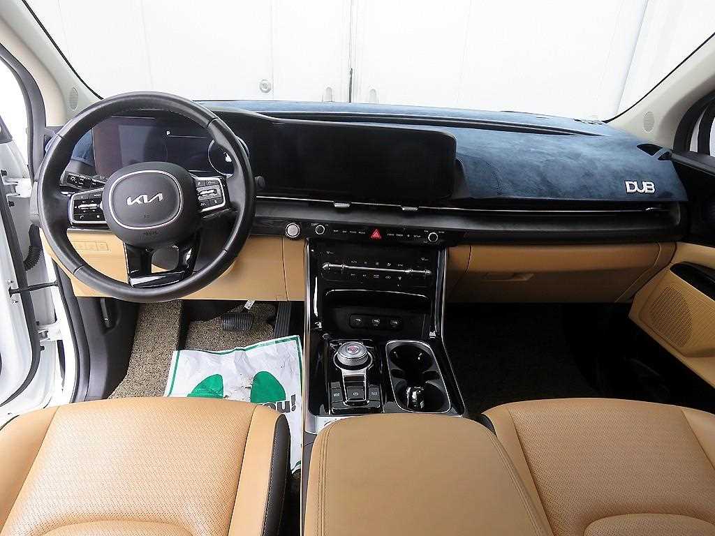 KIA Carnival - Vista 9