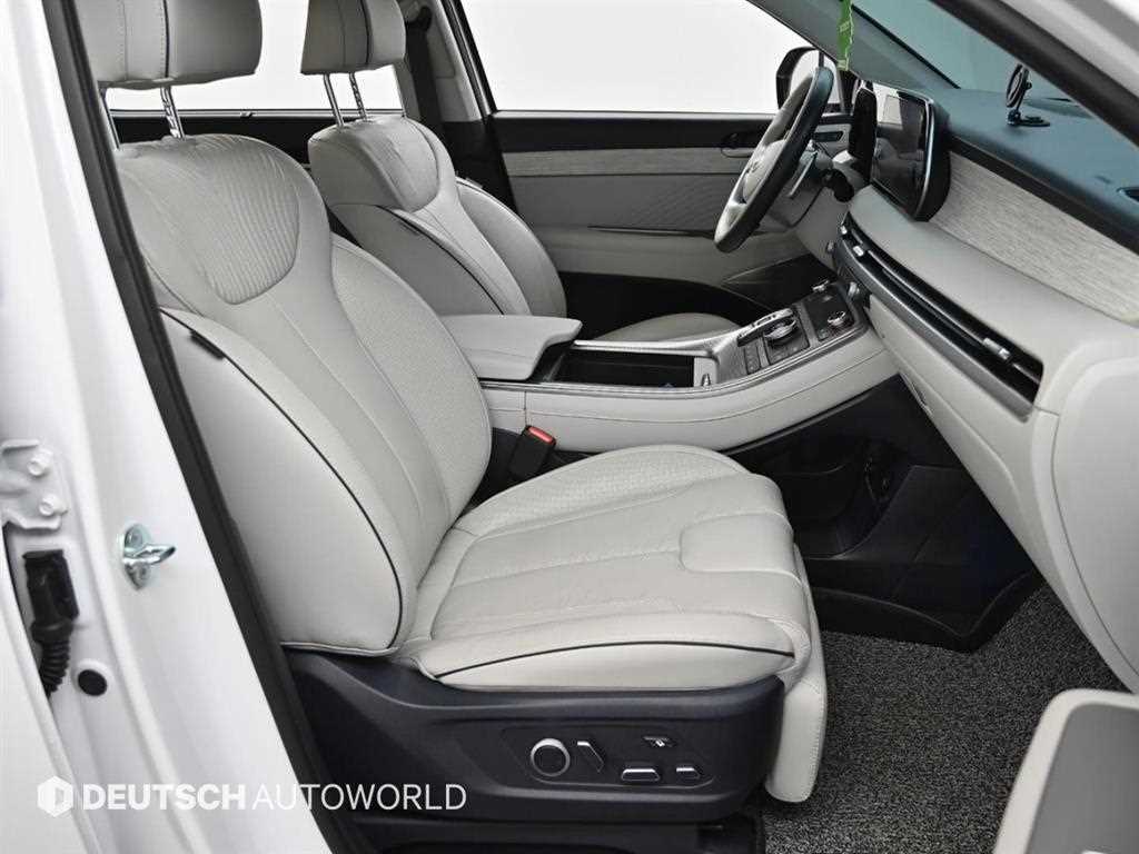 HYUNDAI Palisade - Vista 10