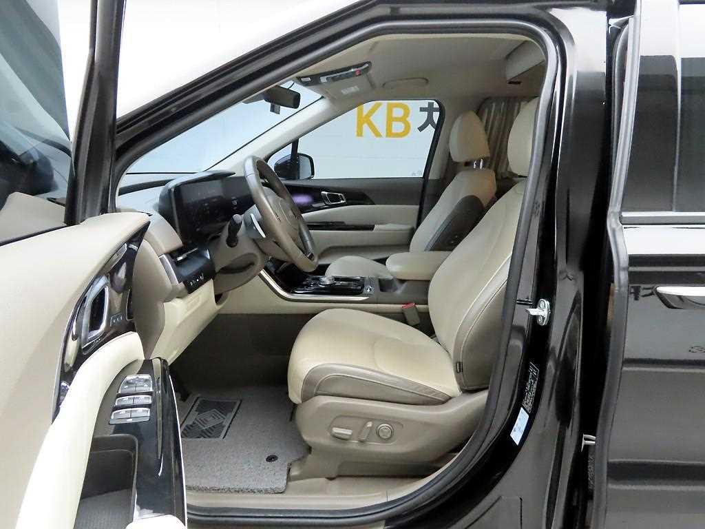 KIA Carnival - Vista 12