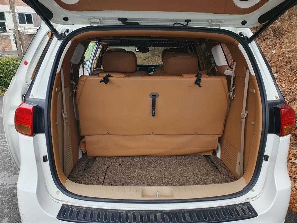 KIA Carnival - Vista 12