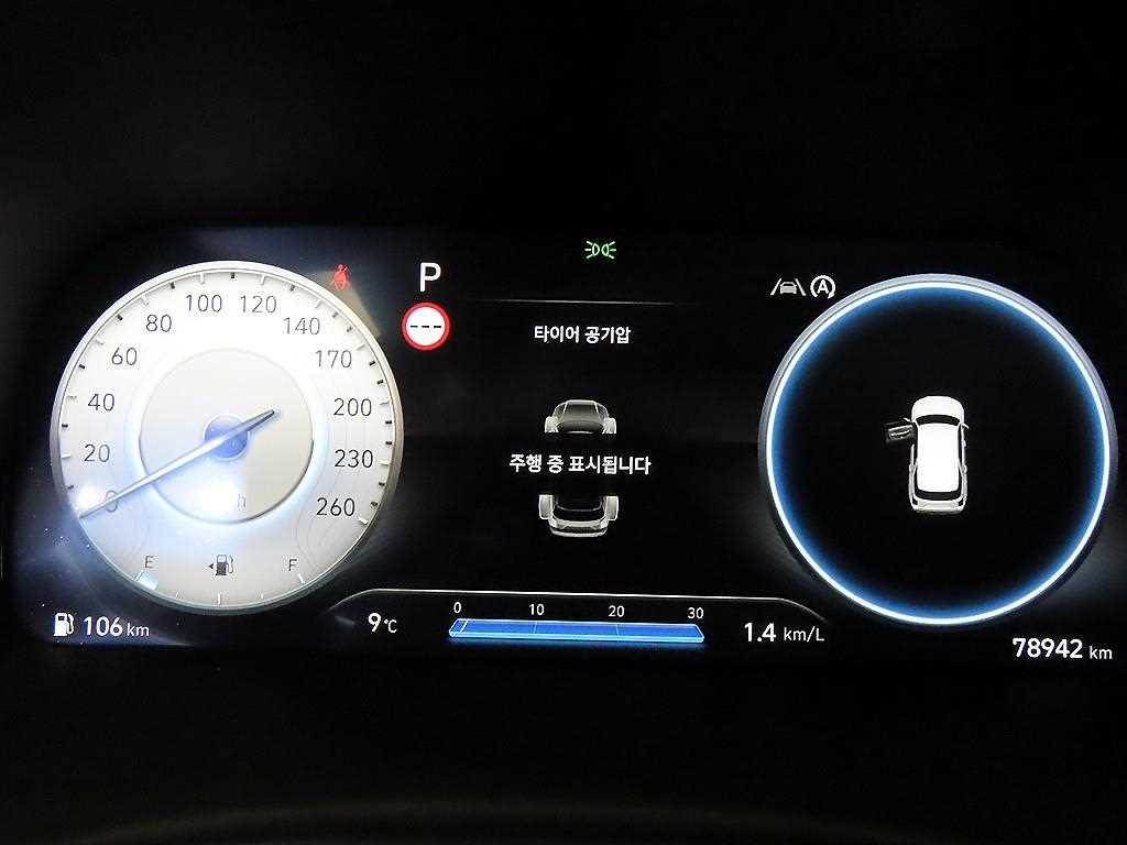 HYUNDAI Palisade - Vista 9