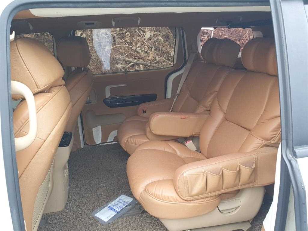 KIA Carnival - Vista 6