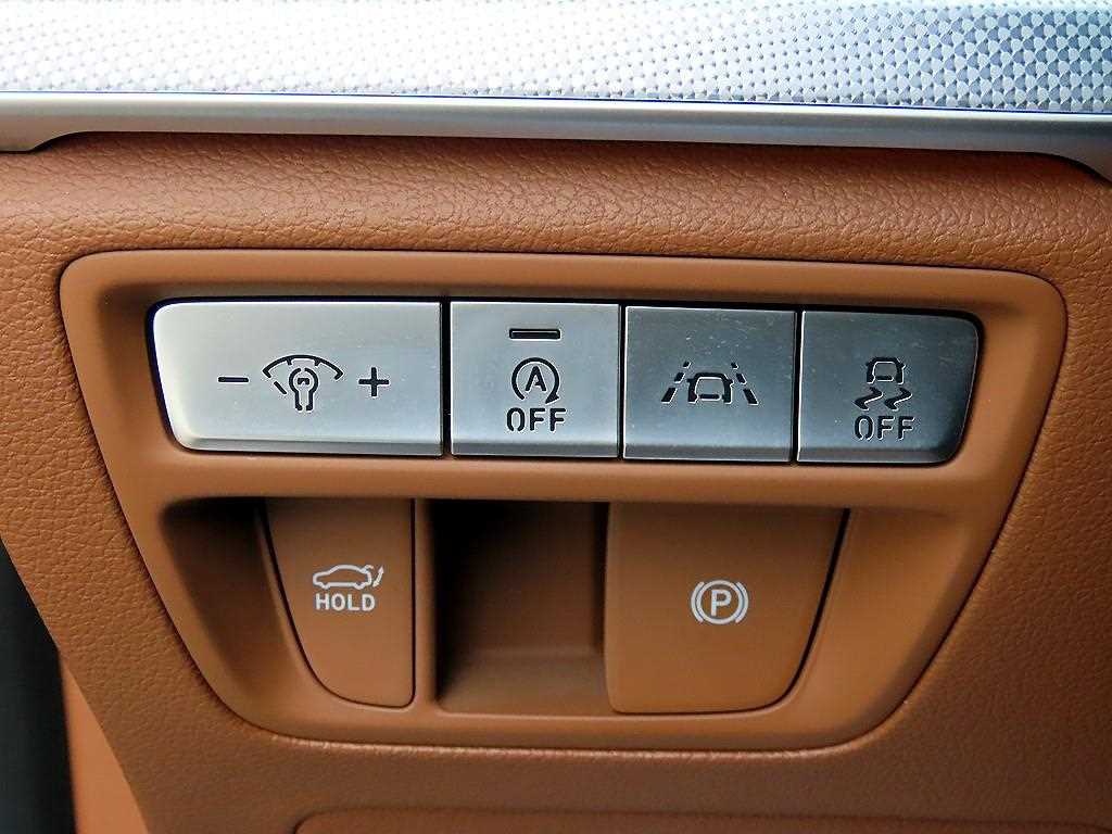 Genesis G80 - Vista 12