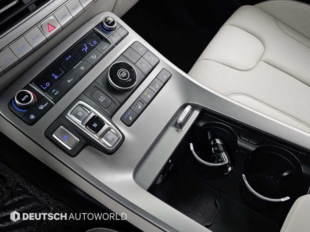 HYUNDAI Palisade - Vista 9