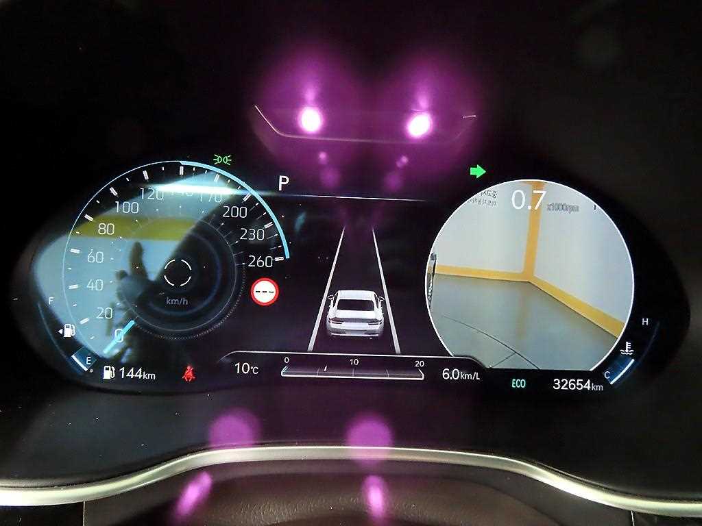 Genesis G80 - Vista 8