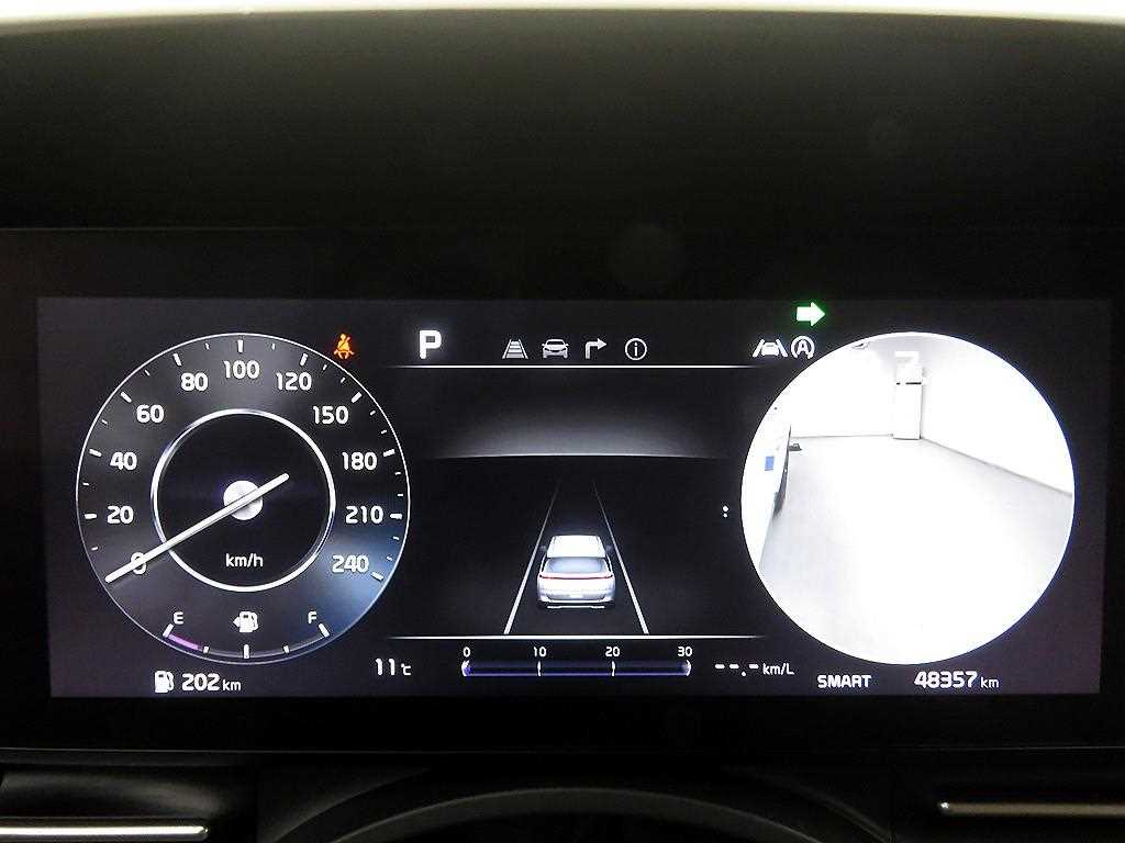 KIA Carnival - Vista 12